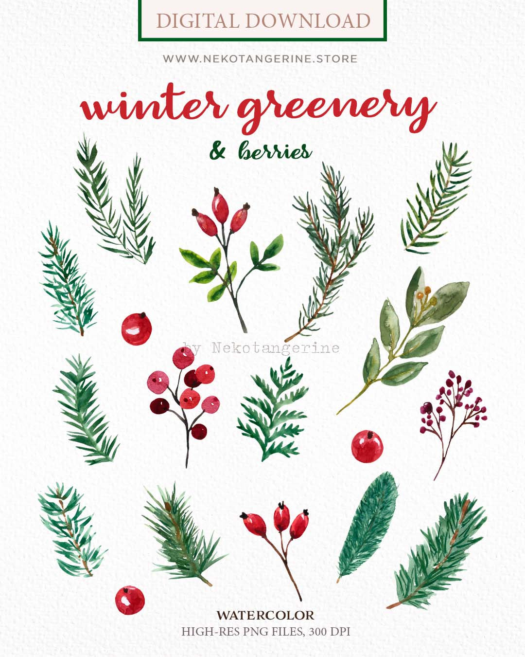 Watercolor Christmas Greenery Winter Borders Frames Papers Clipart