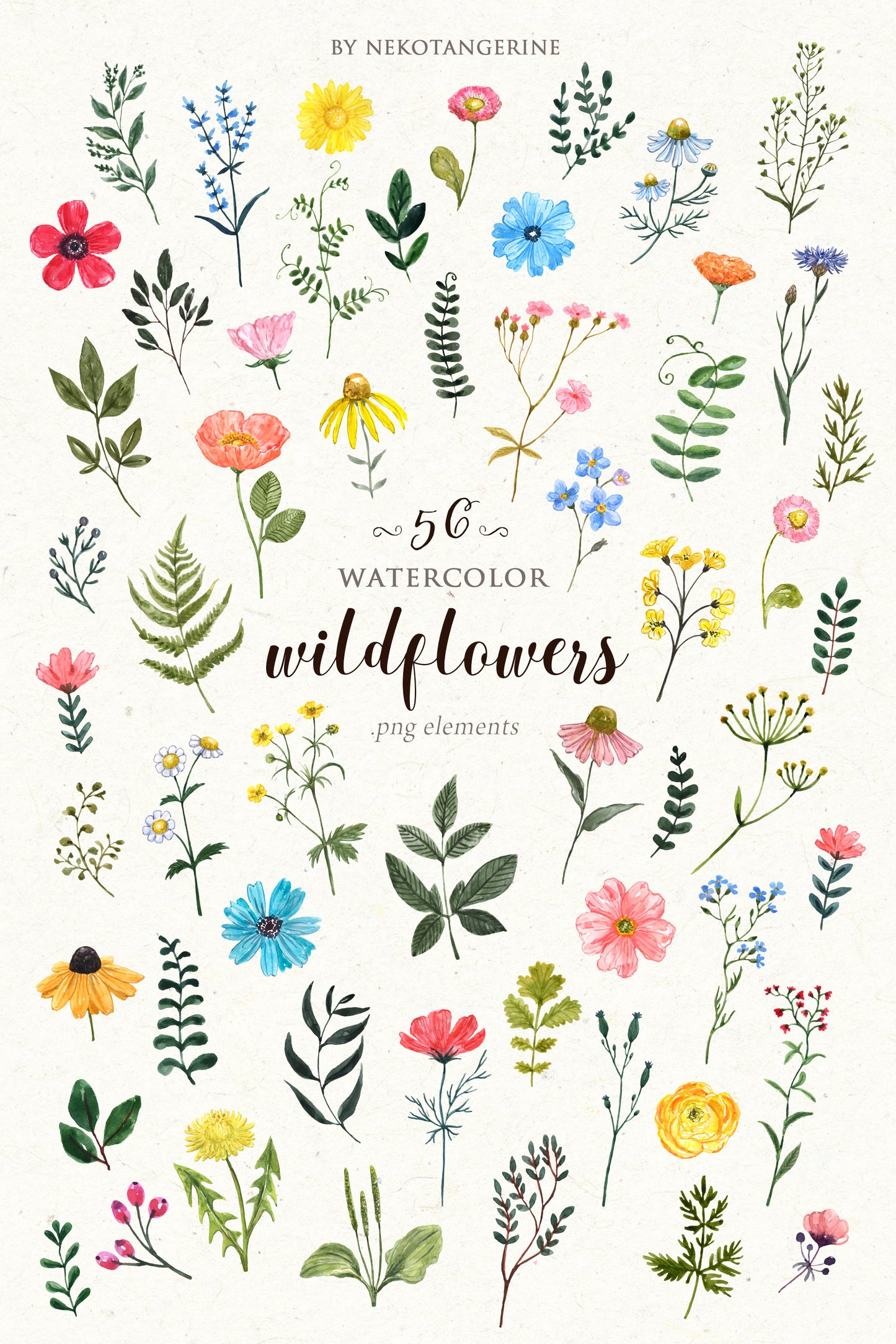 Watercolor wildflowers, hand-painted illustration, PNG clipart, summer meadow flowers graphic
