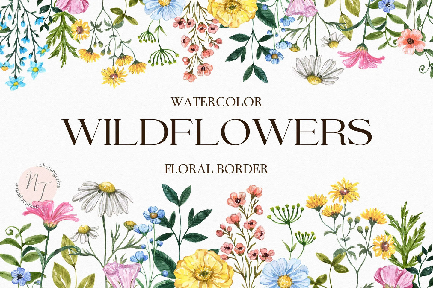 watercolor wildflower frame clipart