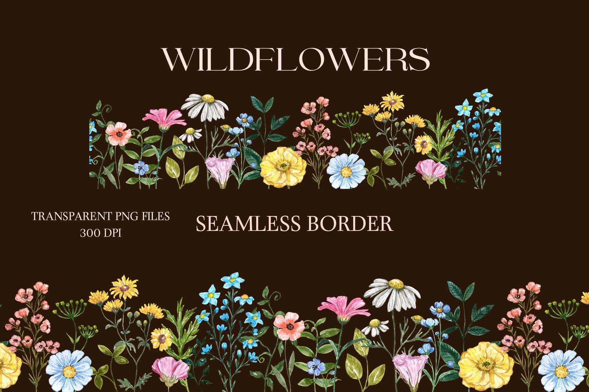 wildflower clipart
