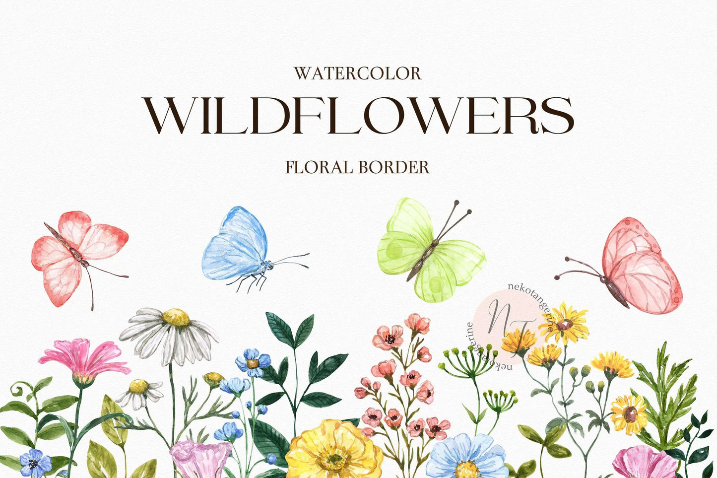 watercolor wildflower clipart, wildflower border clip art