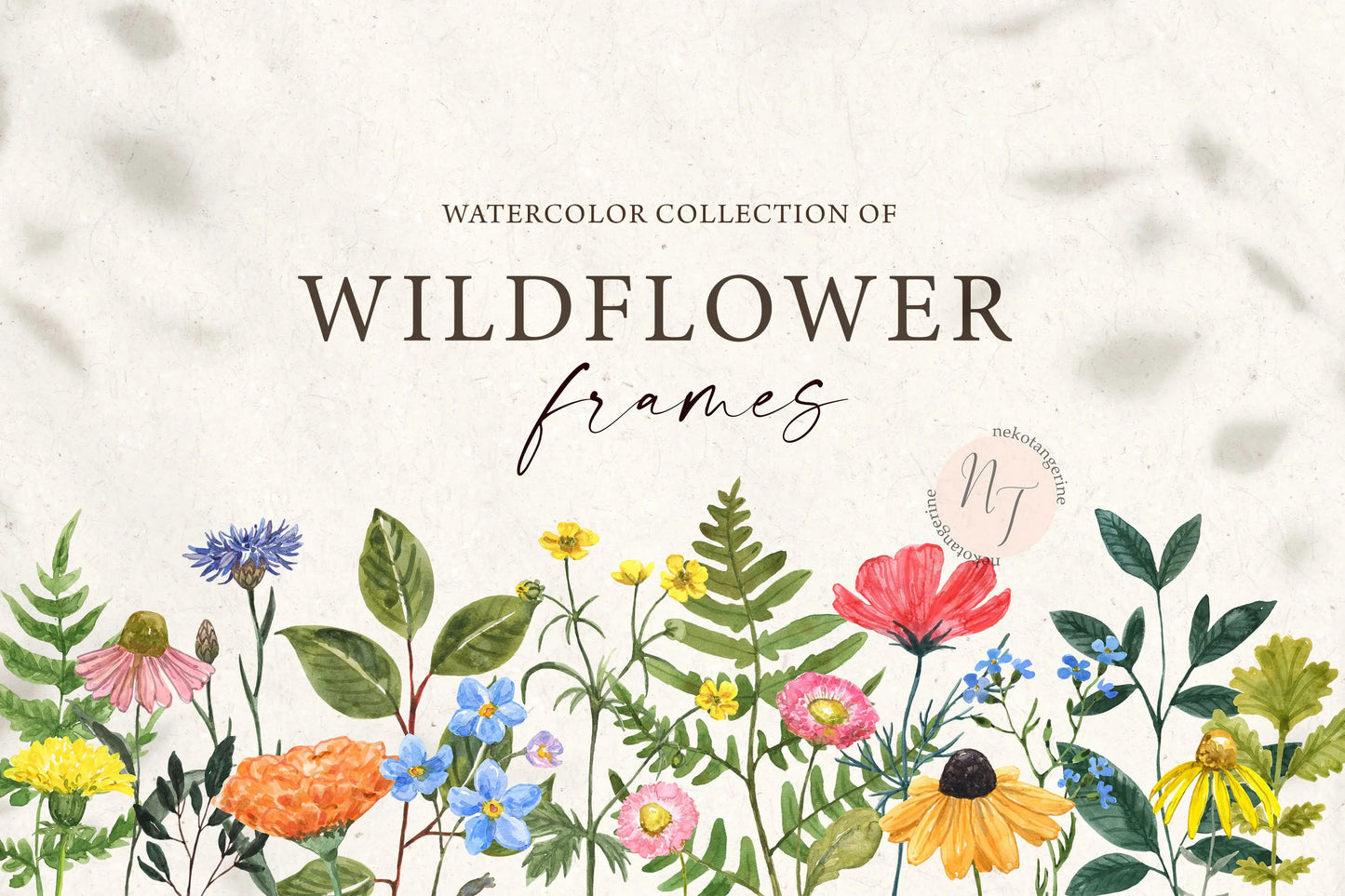 Watercolor Meadow Wildflower Frames and Borders clipart, watercolor wildflower clipart PNG